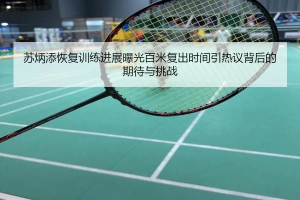 苏炳添恢复训练进展曝光百米复出时间引热议背后的期待与挑战